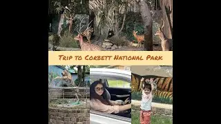 Jim Corbett National Park | Jim Corbett Travel Guide | Exploring Jim Corbett | Corbett Museum