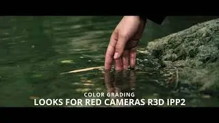 LUTs for Red Cameras R3D Ipp2 Workflow