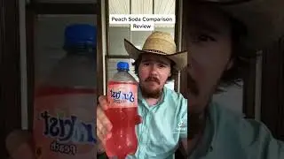 Trying 3 Peach Sodas: Peach Nehi, Sunkist Peach, and Crush Peach #Shorts #Peach #Summer
