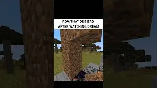 POV: That One Bro After Watching Dream