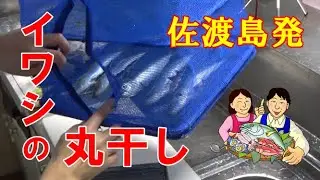 簡単で美味しい！イワシの丸干しの作り方・佐渡島発