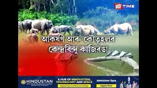 সামৰণি পৰিল কাজিৰঙা ৰাষ্ট্ৰীয় উদ্যানৰ ২০২৪-২৫ পৰ্যটন বৰ্ষৰ....