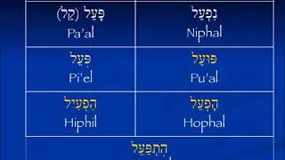 More understanding Hebrew verb structure - hitpa'el participle