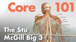 The 3 Core Exercises you NEED to be Doing