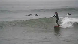 Surfer at Topanga Beach, CA