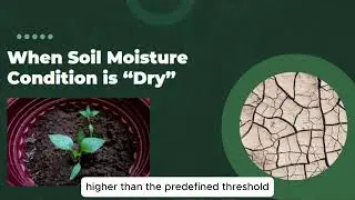 C1G11 (Automated Plant Care System with AI Assistance Integration )
