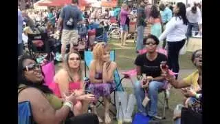 Great Grapes Festival 2013 - Cary NC