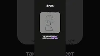 How to draw a NECK? The whole basics in 40 seconds. Learn how to draw portraits in the video above 🔼