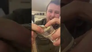 MILKING COASTAL TAIPAN SNAKE! 🐍