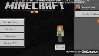Minecraft 1.16 pre release