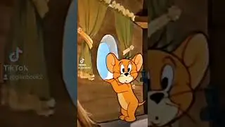 Buona notte da Jerry #tomandjerry #buonanotte