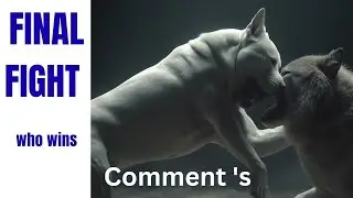 Pit Bull Terrier vs Wild Wolf | Ultimate Survival Fight