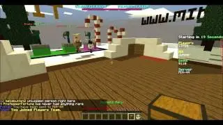 mineplex minigames