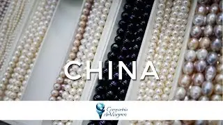 Compras no Mercado das Pérolas | Pequim | China