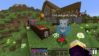 A Familiar Face. (Simp SMP)