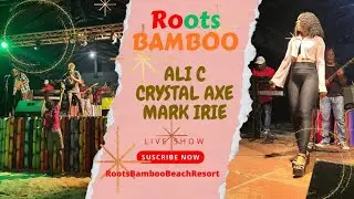 🔥 Live Reggae Explosion at Roots Bamboo | Ali C, Crystal Axe & Mark Irie 🔥