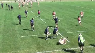 Madison Minotaurs vs Minneapolis Mayhem