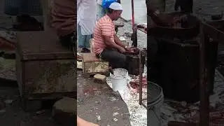 Huge Rohu Fish Cutting#fish_cutting #fish_cutting_expert