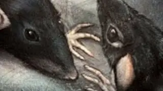 Anarchitex - Guilty Rat Jump - 2022 Scott Ayers Remix (Official) Digital Dark Age