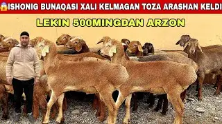 😳Voy Dodd Toza Arashan 1000Tali Bunaqasini Ko’rmagansiz 500Ming Arzon Bunaqasi Xali Kelmagan