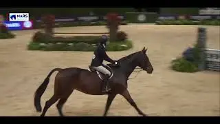 Lauren Zarnegin & Filou's Lady- Large Junior Hunter 3'3 O/F- Washington International Horse Show