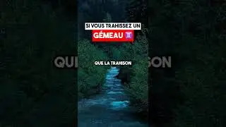 Ne trahissez jamais un G&eacute;meau ! ♊️ 🥺
