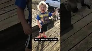 Cats are always patient with children 😂#fyp #cat #funnyanimals #foryou #catlover #kitten