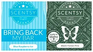 Tester Tuesday Blue Raspberry Ice and Black Forest Pine (Scentsy Reviews) # 136