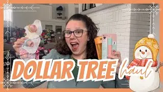 Dollar Tree Haul | Viral Health and Beauty items! Valentine&rsquo;s Day Snack Pack Items for the Guys!