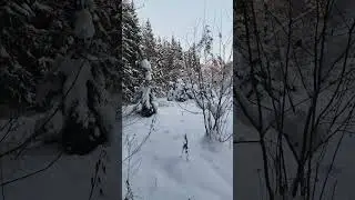гиперлапс 30 янв 2026