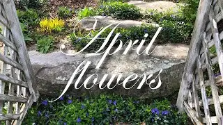 Welcome to our garden! Take a peak at April in Rhode Island.