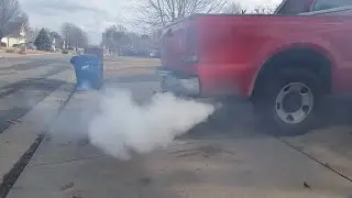 2005 Ford Seafoam Cold Start (Exhaust Shot, Hard Revving)