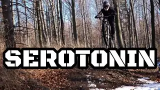 SEROTONIN RUSH – 2 Minutes of Pure MTB