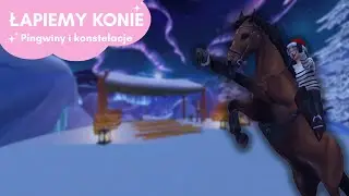 SZUKAMY KONSTELACJI! 🌌 Aktualizacja 24.12.2025r.