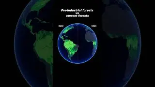 Pre-industrial forests vs current forests