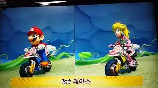 마리오카트 배틀 뻐금이를 잡아라. 스파이를 잡아라