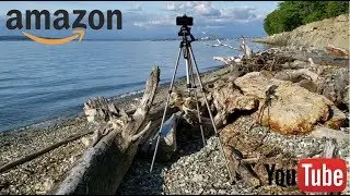 Amazon Basics 60