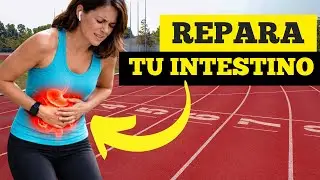 🥦FIBRA y CORREDORES: lo que nadie te cuenta (y cuida tu estomago)