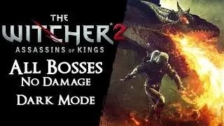 The Witcher 2 Level 1 - All Bosses on Dark【No Damage, Rolling, Potions, Signs*, Armor, Traps, Bombs】