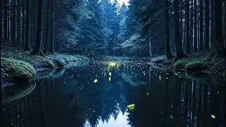🌲🌙 | Beruhigende Naturger&auml;usche zum Schlafen & Entspannen am Waldsee