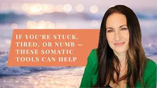 Somatic Healing for Beginners: 6 Easy Tools to Release Stress from the Body