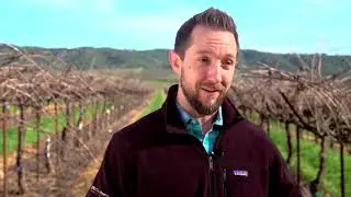 Career Exploration: Gallo Winery's Commitment to Training & Development