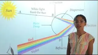 How Rainbow is Formed? | Science Model | DIY Project| Spectrum, VIBGYOR, Prism & Dispersion