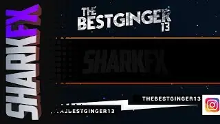 TheBestGinger13 | Paid Outro | 300 Likes? LATE UPLOAD
