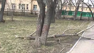 Шквальный ветер в Омске 26.04.2014