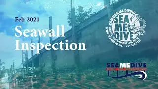Seawall Inspection: Feb 22nd 2021