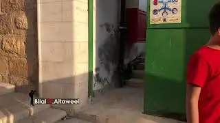 Masjid Ibrahim kota Al Khalil / Hebron Palestina (🎥Bilal H.Altaweel)