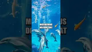 Chibi's Enchanted Dive Through the Coral Caves
