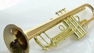 4 models of Temby Trumpets recorded