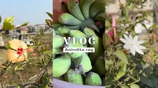 আজকের দিনটা শুধু নিজের জন্য। সহজজীবন আরাম | রান্না এবং খাওয়া দাওয়া |